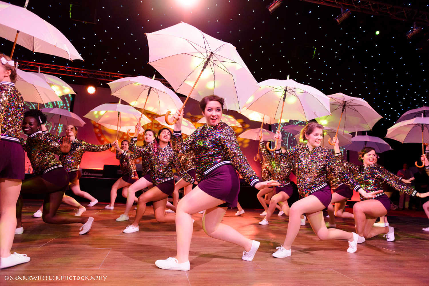 Performance Troupes image